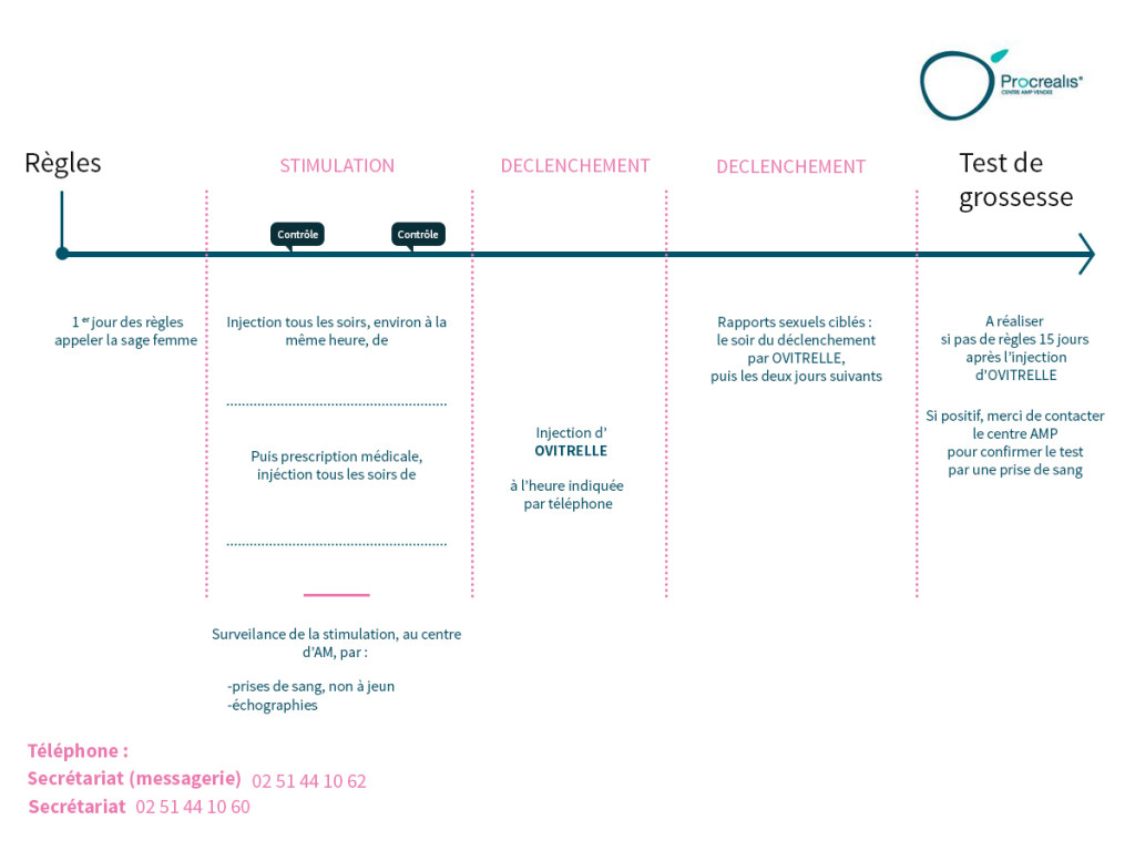 ovulation-simple